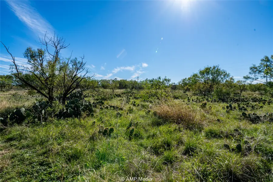 151 County Road 412, Talpa, TX 76882 - Image #2