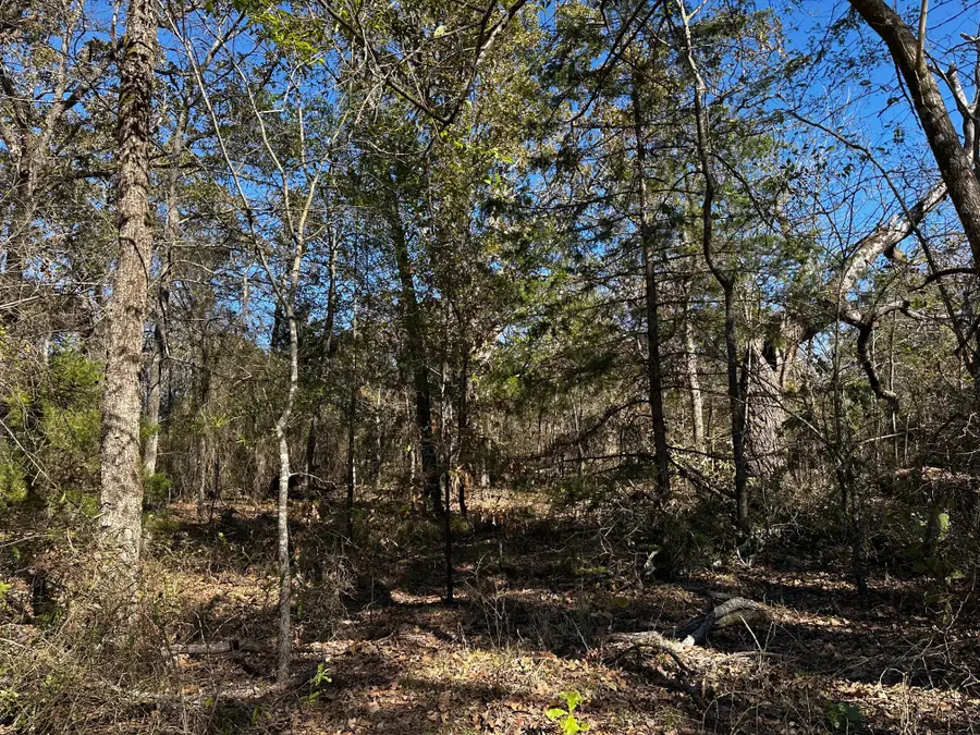 TRACT D  397 Private Road 8507, Van, TX 75790 - Image #3