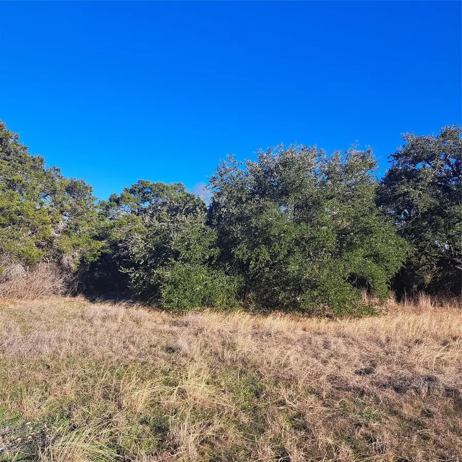 8221 Carnegie Street, Cleburne, TX 76033 - Image #2