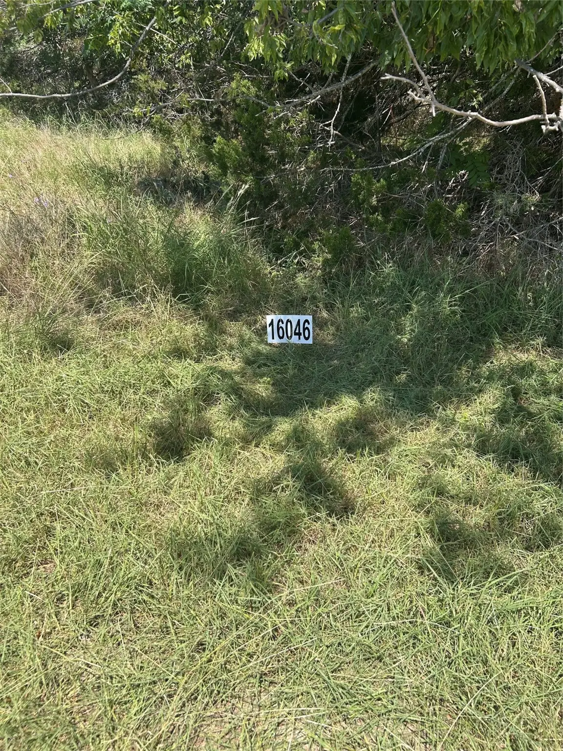 16046 Faircrest Drive, Whitney, TX 76692 - #1