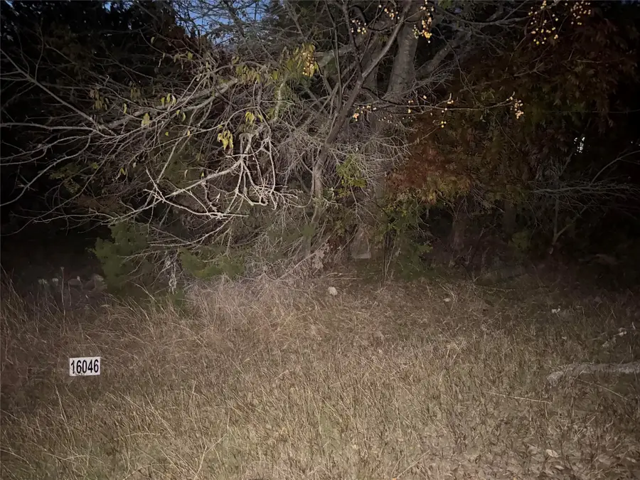 16046 Faircrest Drive, Whitney, TX 76692 - #2