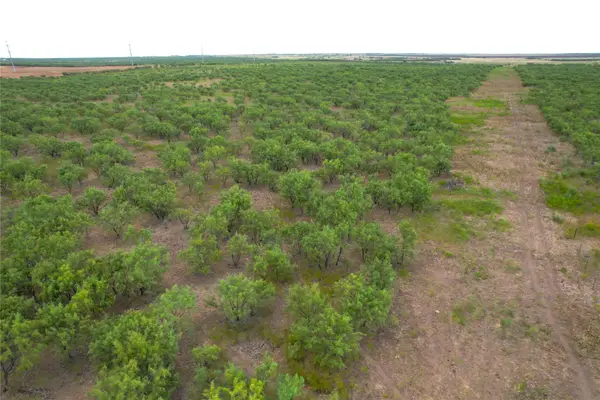 100+/- Ac TBD Hwy 6, Lueders, TX 79533