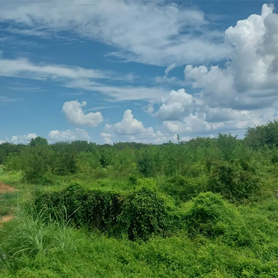 1085 Deen Point Road, Benton, LA 71006 - #3