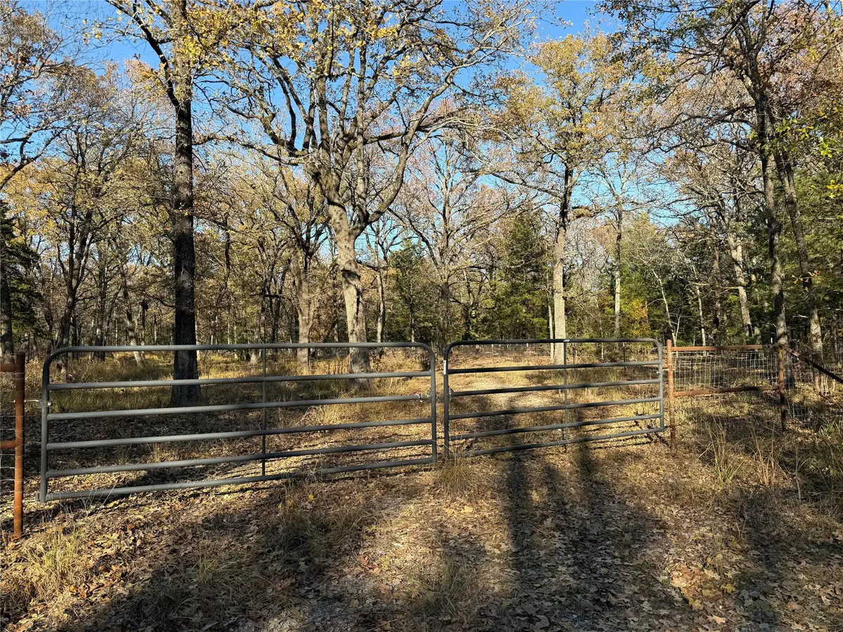 0000 County Road 2418, Honey Grove, TX 75446 - Image #1