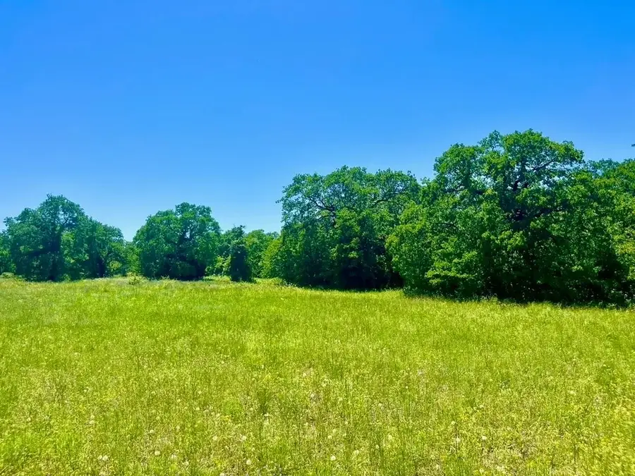 Lot 34 Galway Rd, Poolville, TX 76487 - Image #2