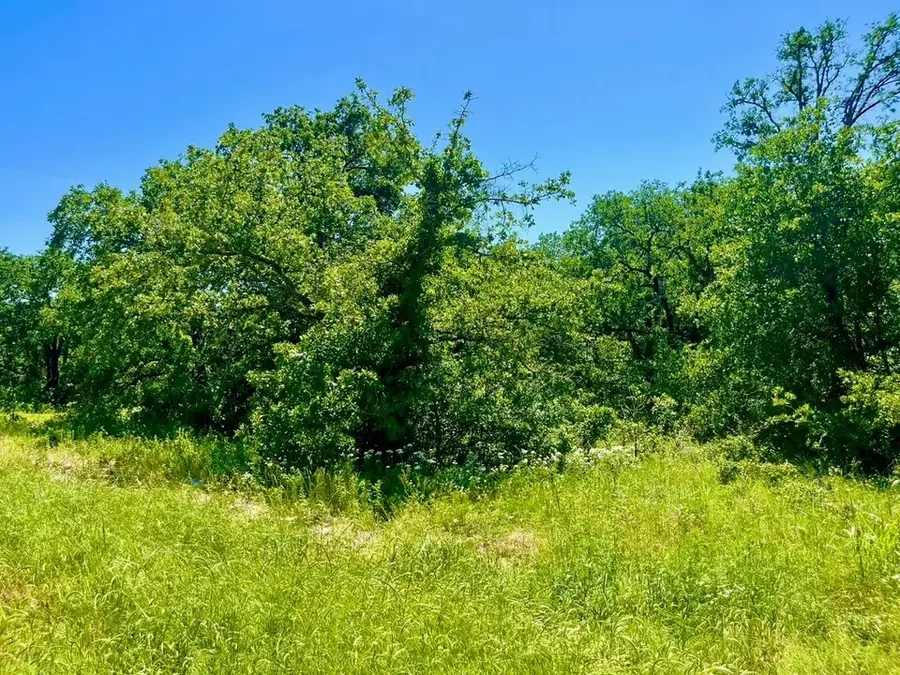Lot 40 Kilkenny Road, Poolville, TX 76487 - Image #2