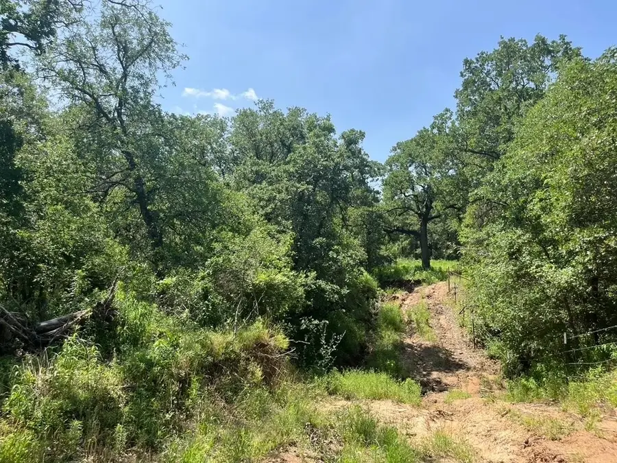 Lot 44 Antrim Ct, Poolville, TX 76487 - Image #3