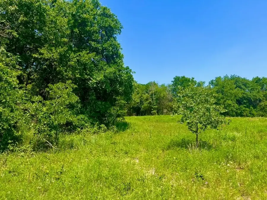 Lot 49 Wicklow Ct, Poolville, TX 76487 - Image #3