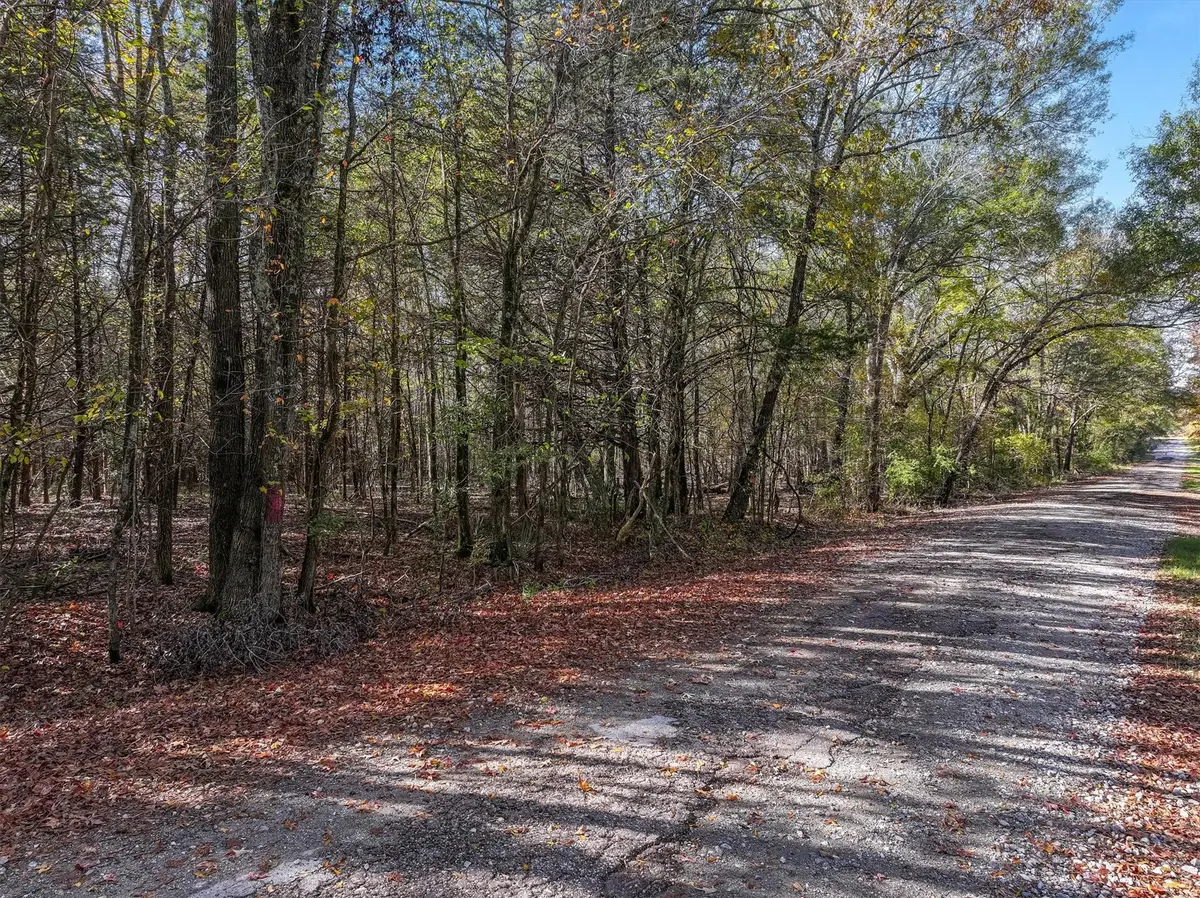 TBD Vz County Road 3117, Edgewood, TX 75117 - Image #1