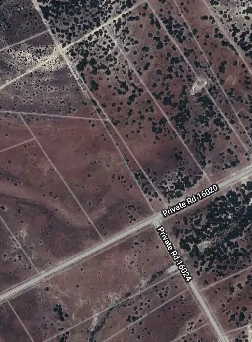 TBD Private Road 16020, Jonesboro, TX 76538 - Image #1