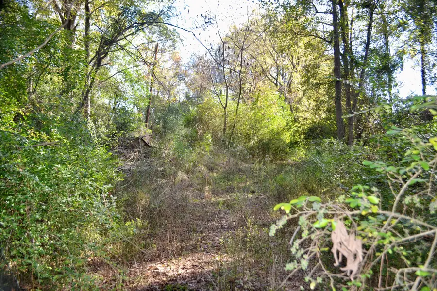 Tract #2 Long Street, Waskom, TX 75692 - Image #2