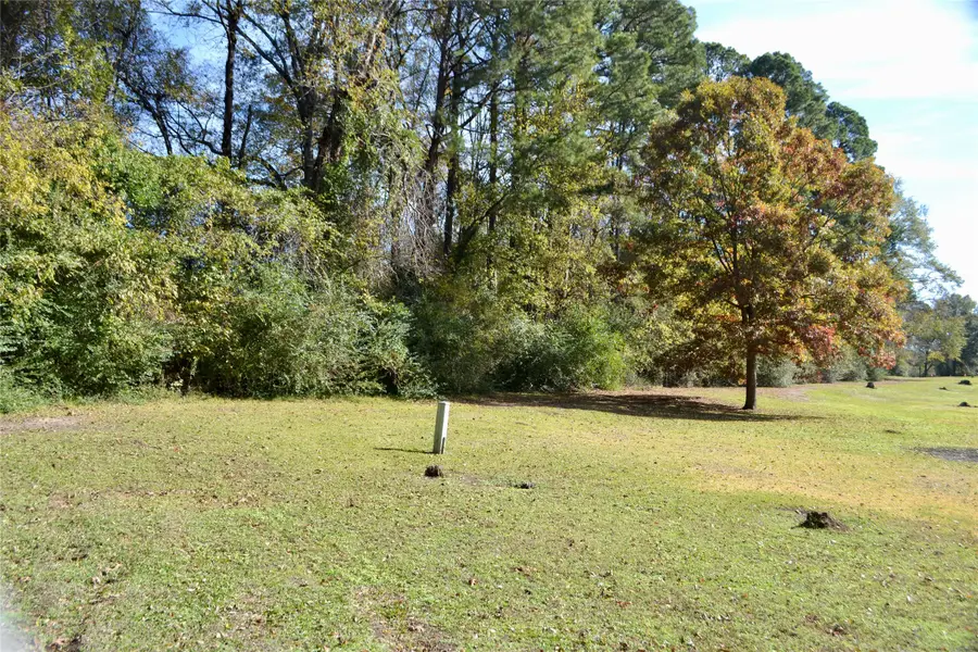 Tract #2 Long Street, Waskom, TX 75692 - Image #3