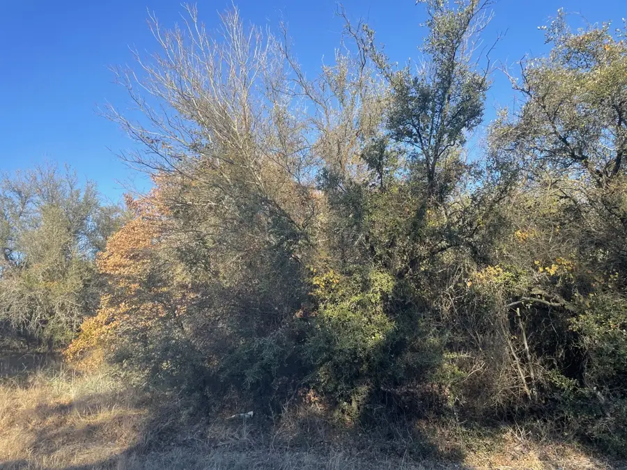 3751 Old Decatur Road, Alvord, TX 76225 - Image #3