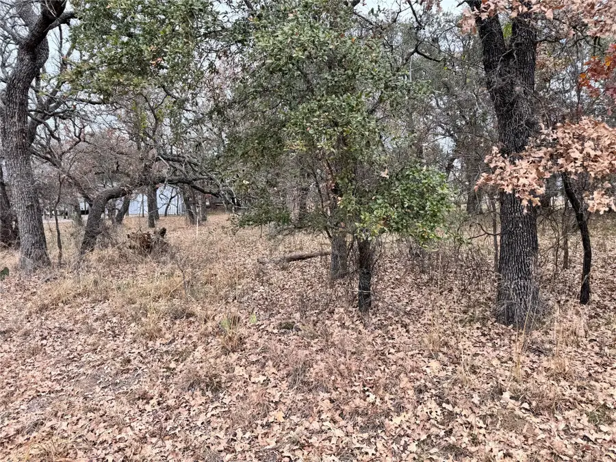 TBD Lot 674 S Lakeside Drive, May, TX 76857 - Image #3