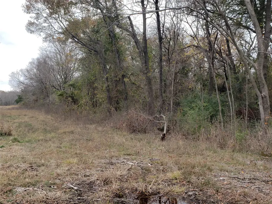 000 Tx-205, Terrell, TX 75160 - Image #3