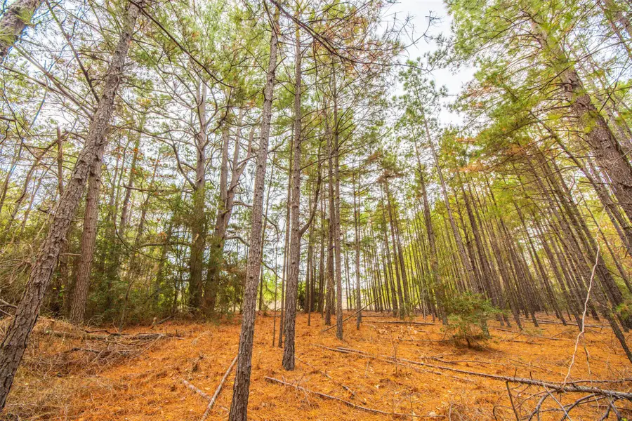 0 Anderson County Road 140, Palestine, TX 75839 - Image #3