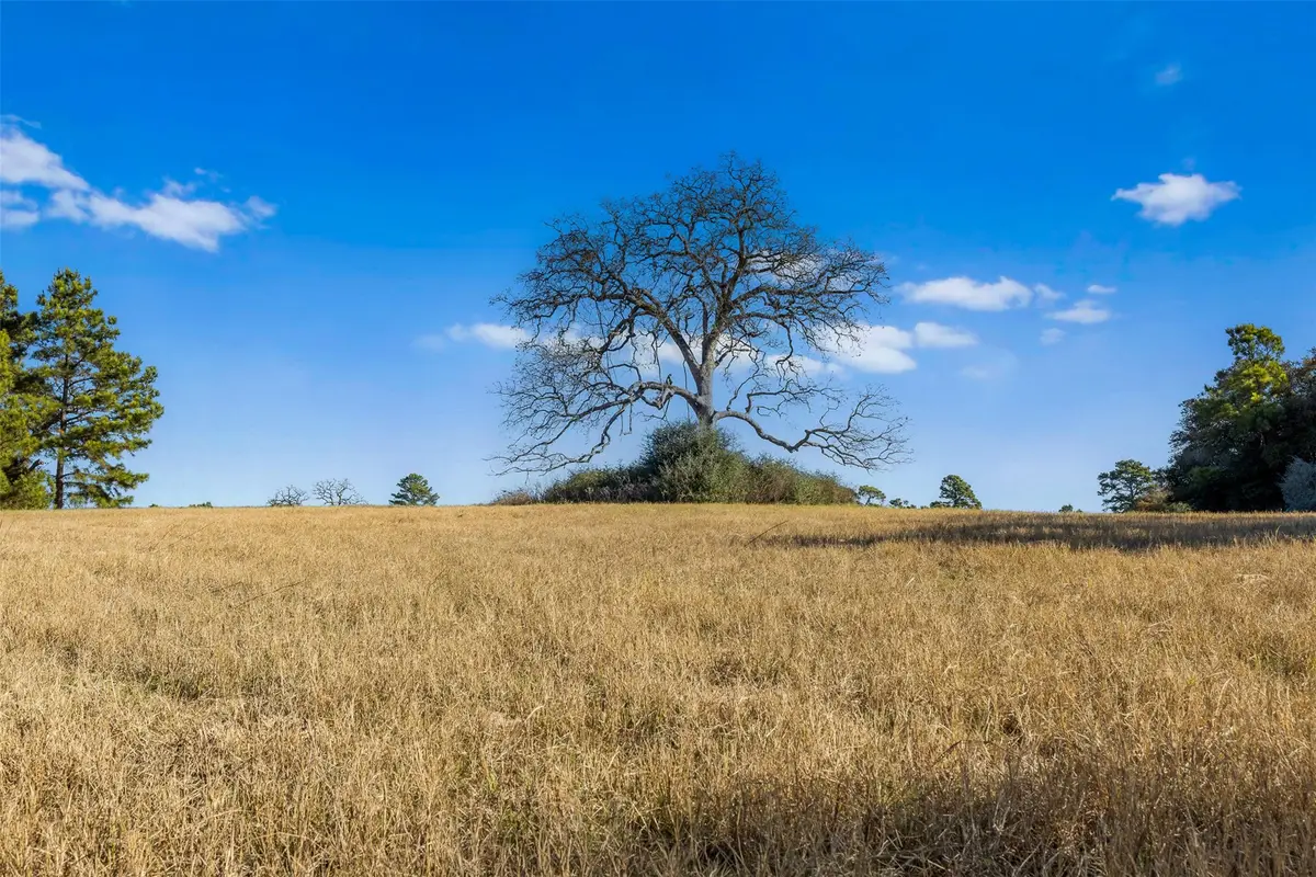 TBD Pr 1315, Centerville, TX 75852 - Image #1