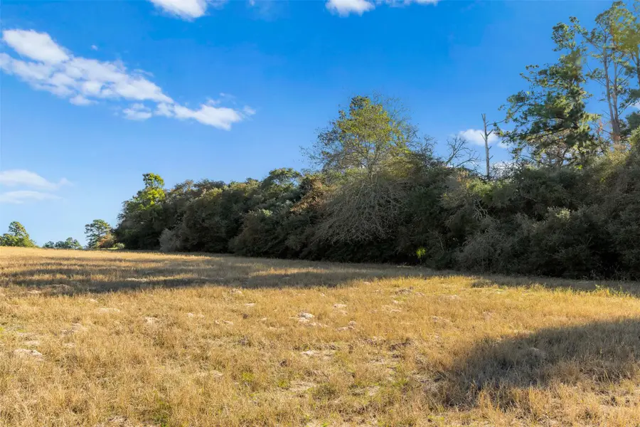 TBD Pr 1315, Centerville, TX 75852 - Image #2