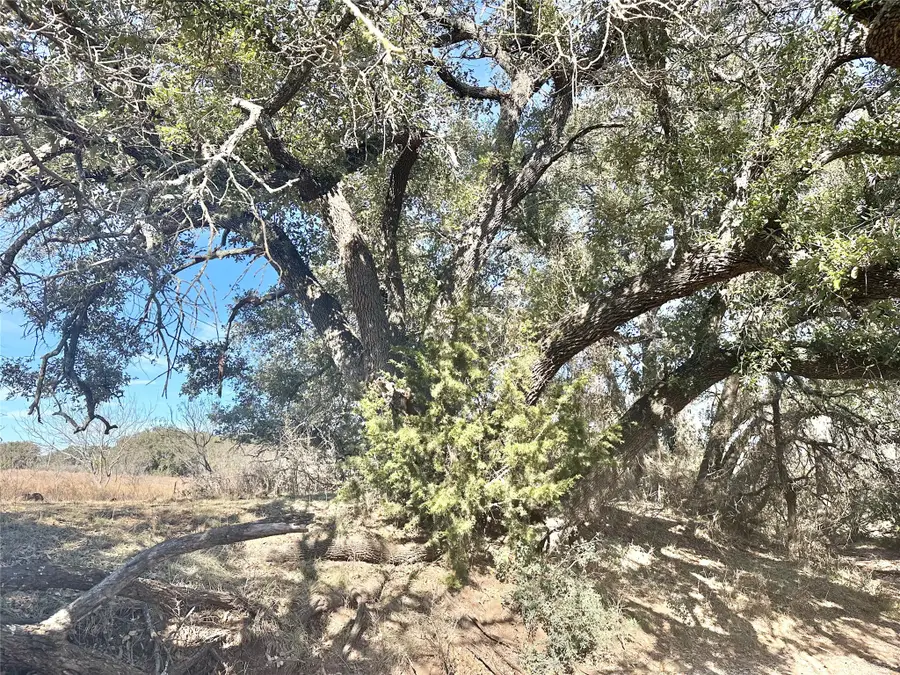 85 County Road 549, Mullin, TX 76864 - Image #2