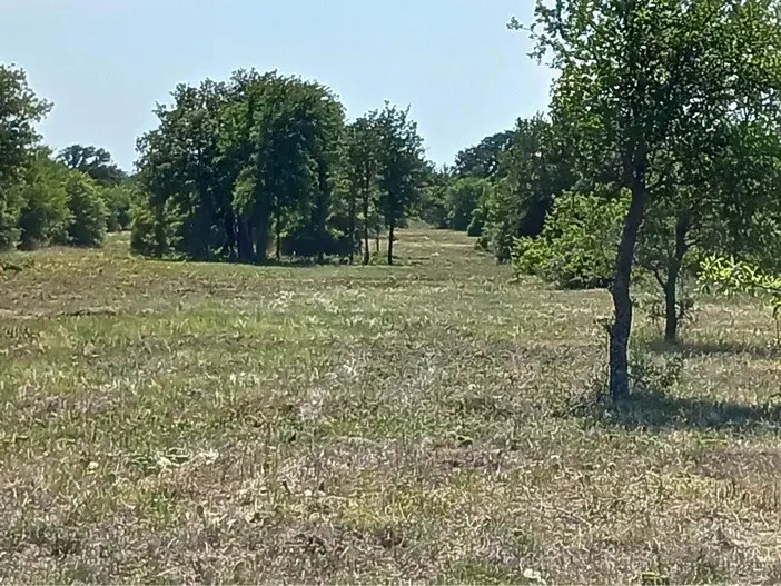 1844 County Road 488, Ranger, TX 76470 - Image #3