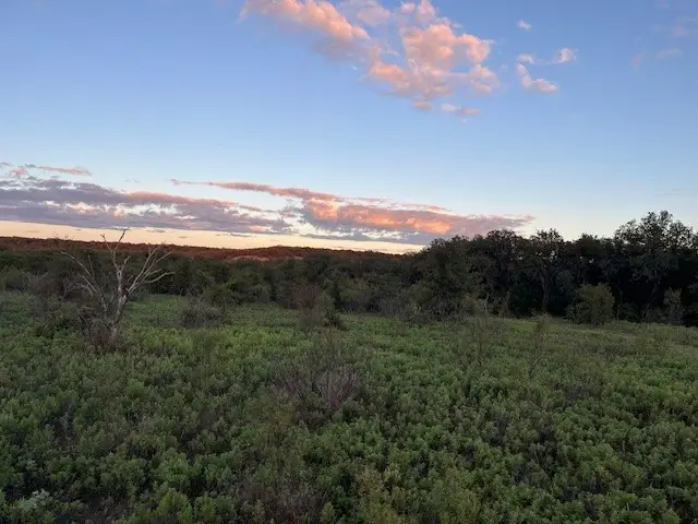 73 ac Hwy 16, Loving, TX 76460 - Image #1