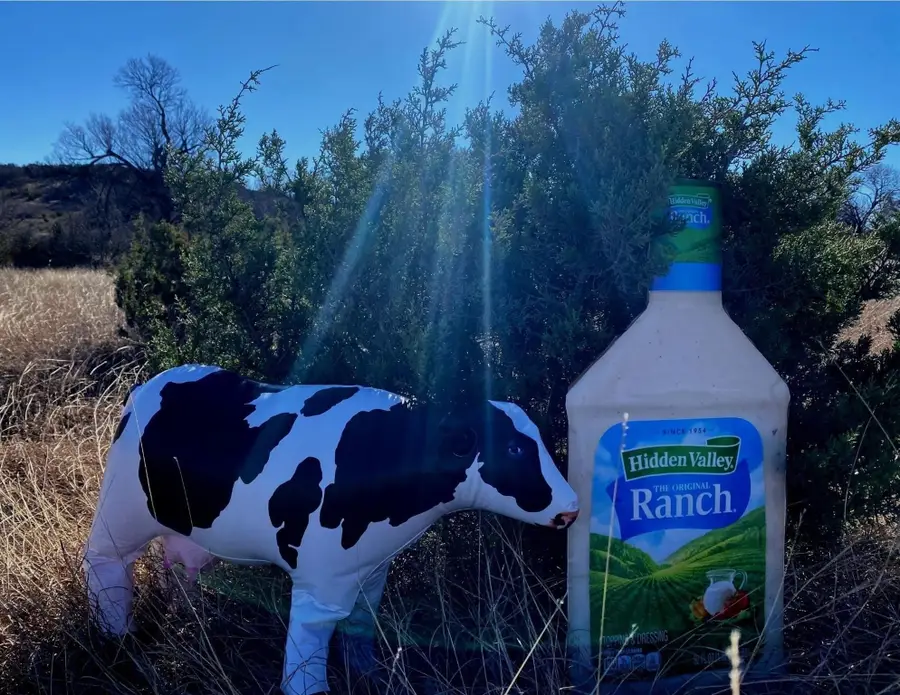 Lot 25 Hidden Valley Road, Glen Rose, TX 76043 - Image #3