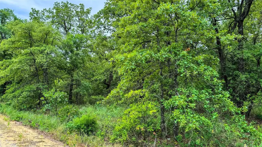 143 Briarwood Trail, Nocona, TX 76255 - Image #3