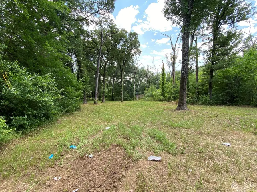 136 Buffalo Springs Road, Mabank, TX 75156 - Image #3