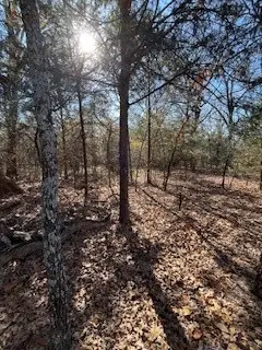 Lot 15,16 Loper Drive, Streetman, TX 75859 - Image #2