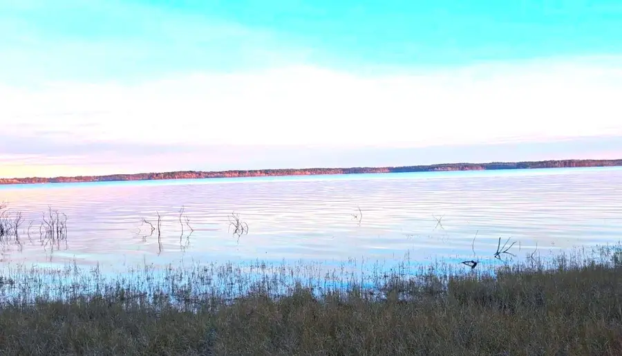 T B D Needmore, Bronson, TX 75930 - Image #2