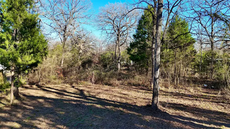 120 Shallowater Road, Mabank, TX 75156 - Image #3