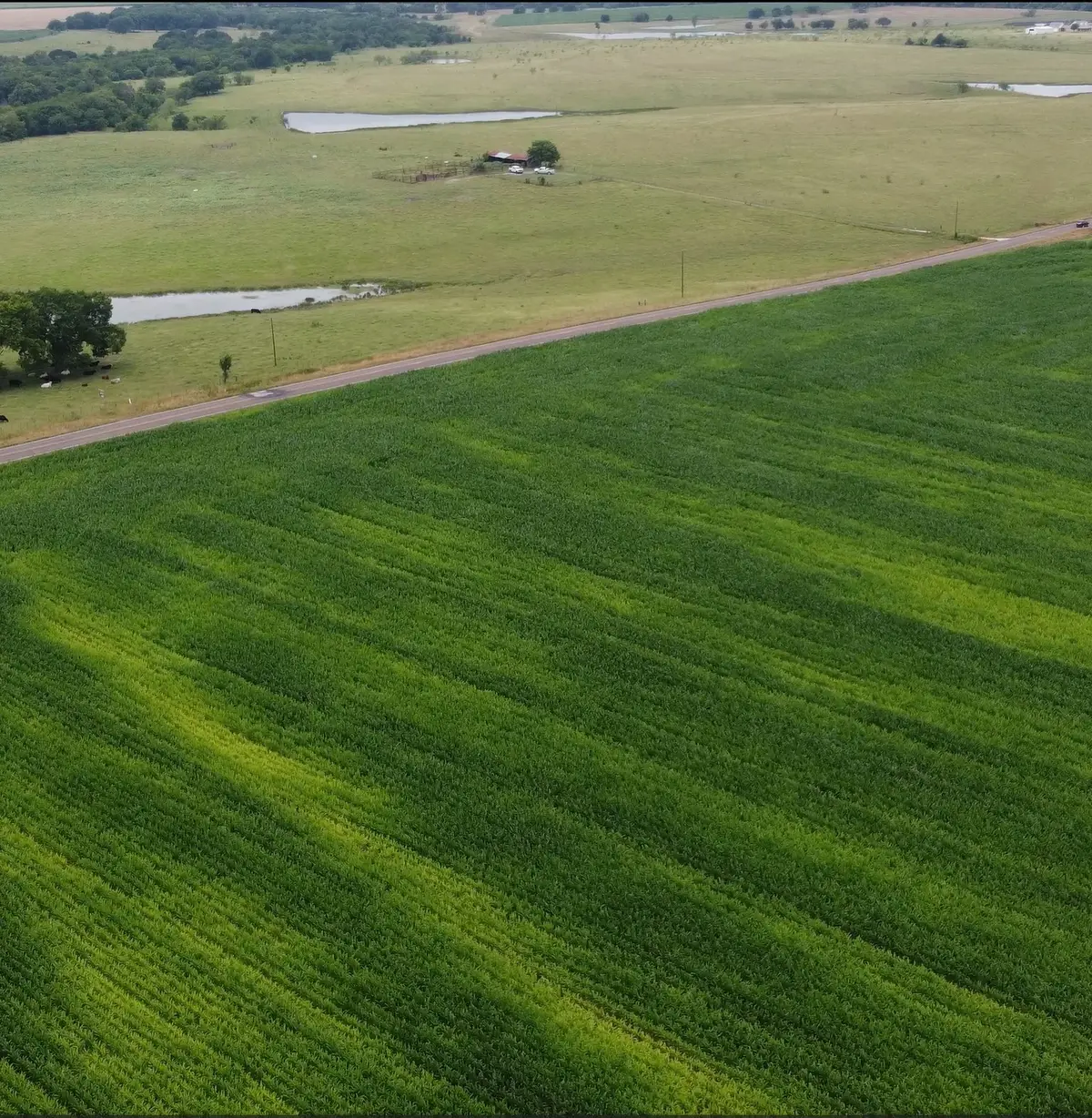 TBD Fm 667, Italy, TX 76651 - Image #1