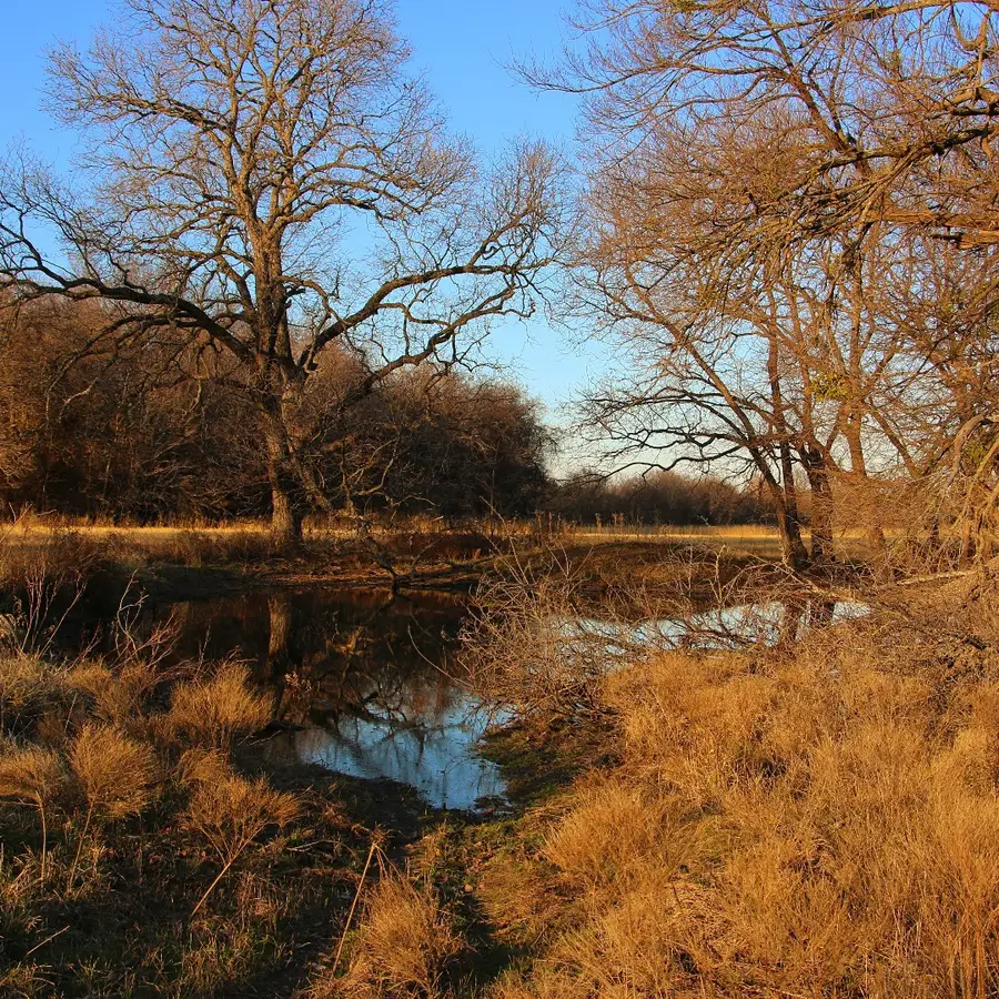 1671 County Road 3838, Bridgeport, TX 76426 - Image #2