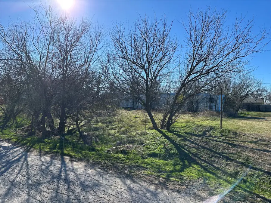 TBD Spring Road, Ranger, TX 76470 - Image #3