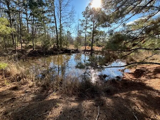 562 County Road 4430, Winnsboro, TX 75494 - Image #3