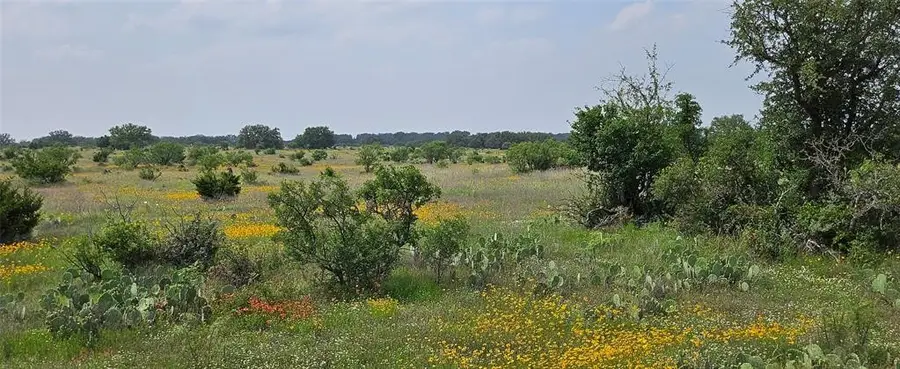 TBD Starks Road, Mason, TX 76856 - Image #2