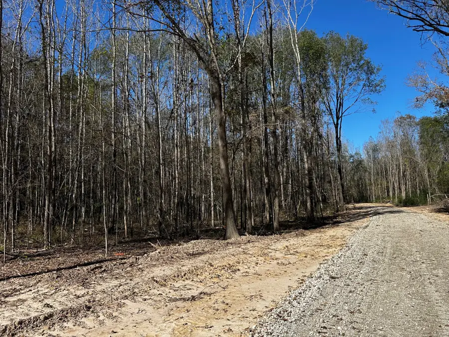 437 Private Road 8507, Van, TX 75790 - Image #2