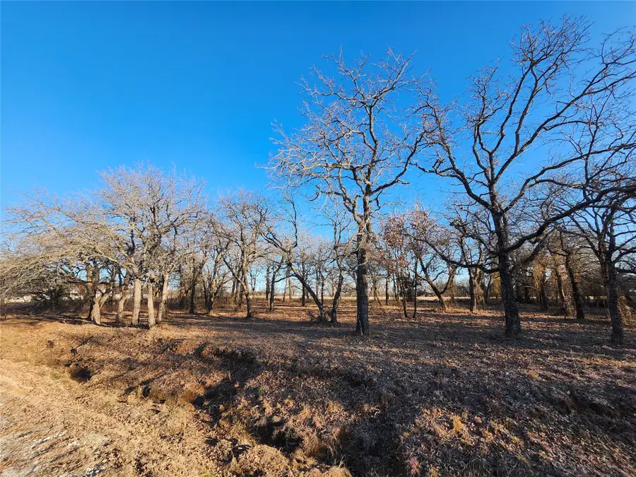 126 Diamond Oaks Drive, Nocona, TX 76255 - Image #3