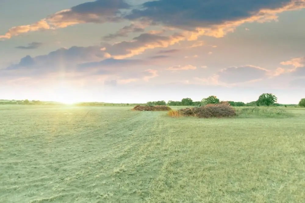 TBD Cr170, Gorman, TX 76454 - Image #1