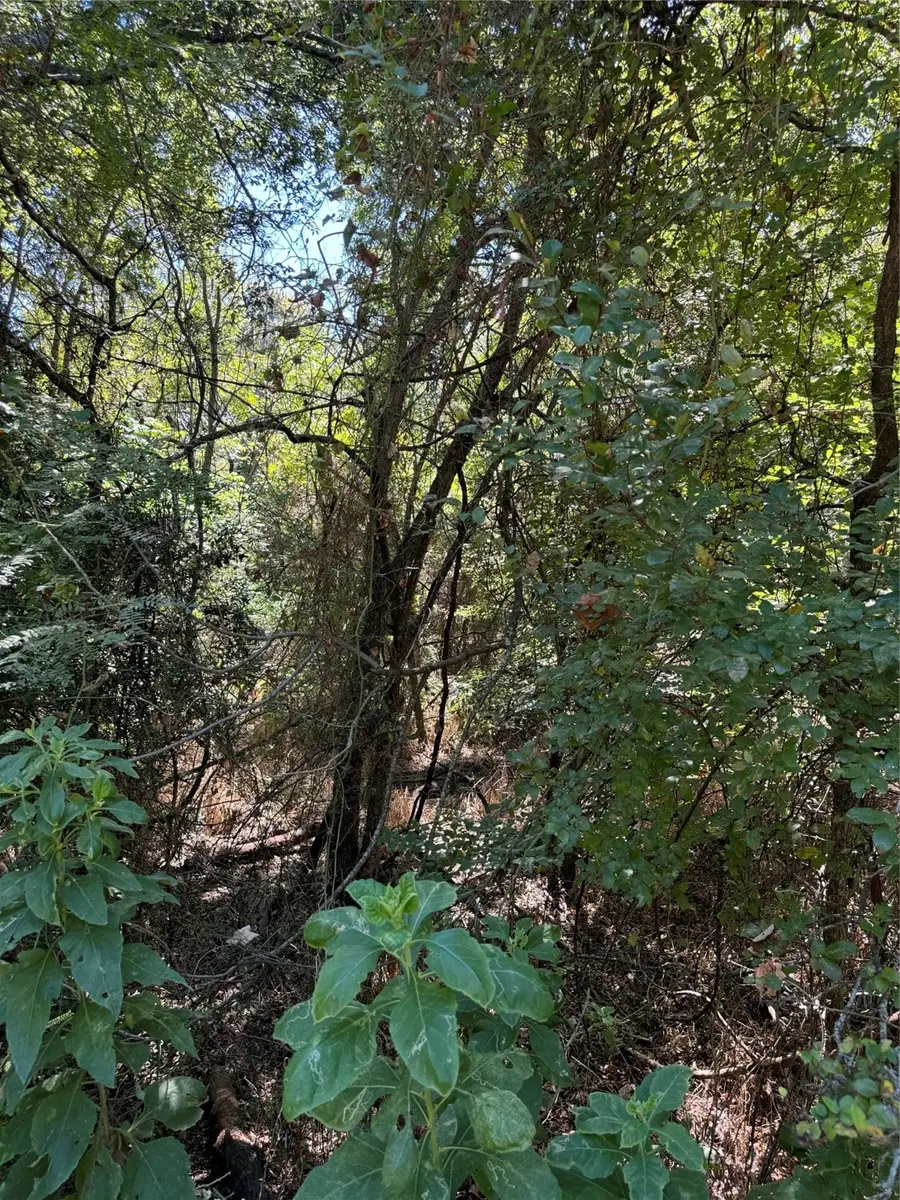 15037 Golf Drive, Whitney, TX 76692 - #2