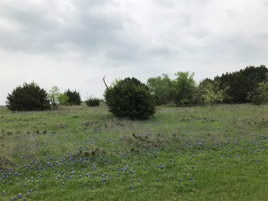 34020 Stonewood Drive, Whitney, TX 76692 - #3