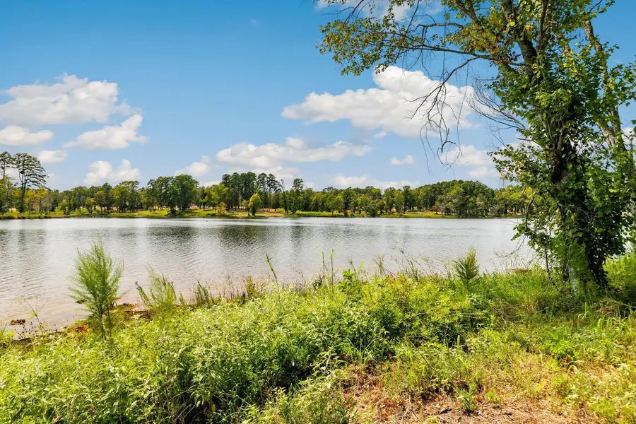 Lot 40 Big Rock Lake Road, Hallsville, TX 75650 - Image #2