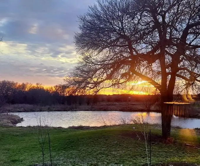 1001 Private Road 5868, Blue Ridge, TX 75424 - Image #1