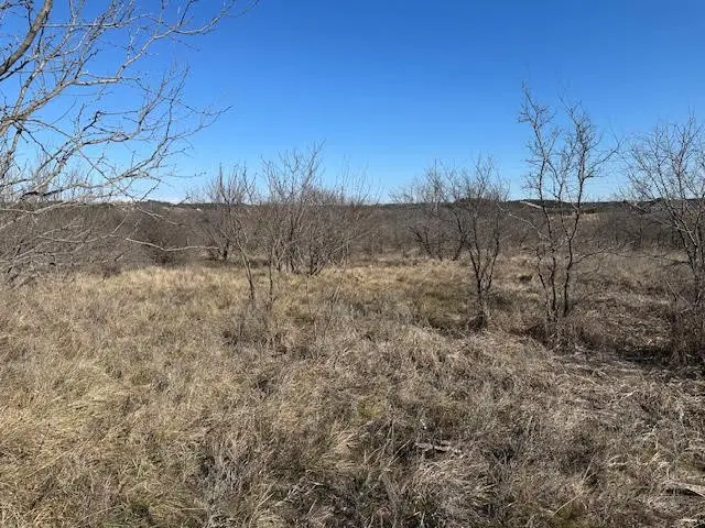 1050 Spotted Owl Court, Graford, TX 76449 - Image #3