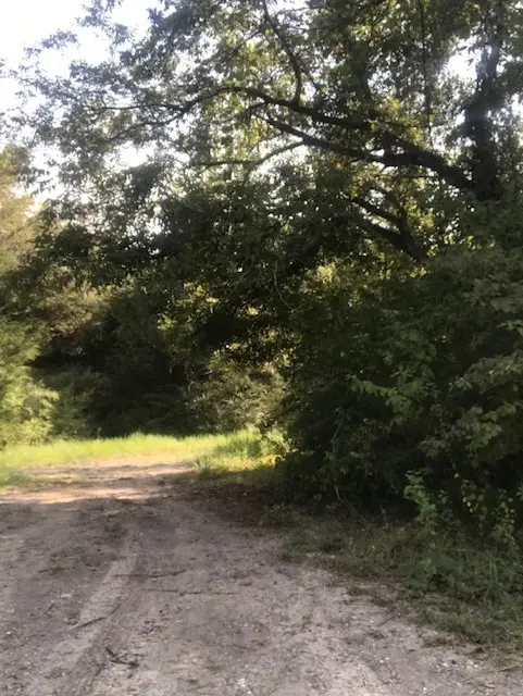 2846 Lebrock Street, Dallas, TX 75241 - Image #2