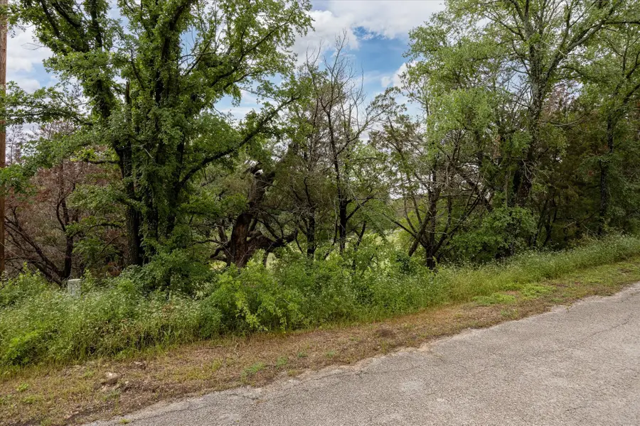 805 E Aquarius Court, Granbury, TX 76049 - Image #2