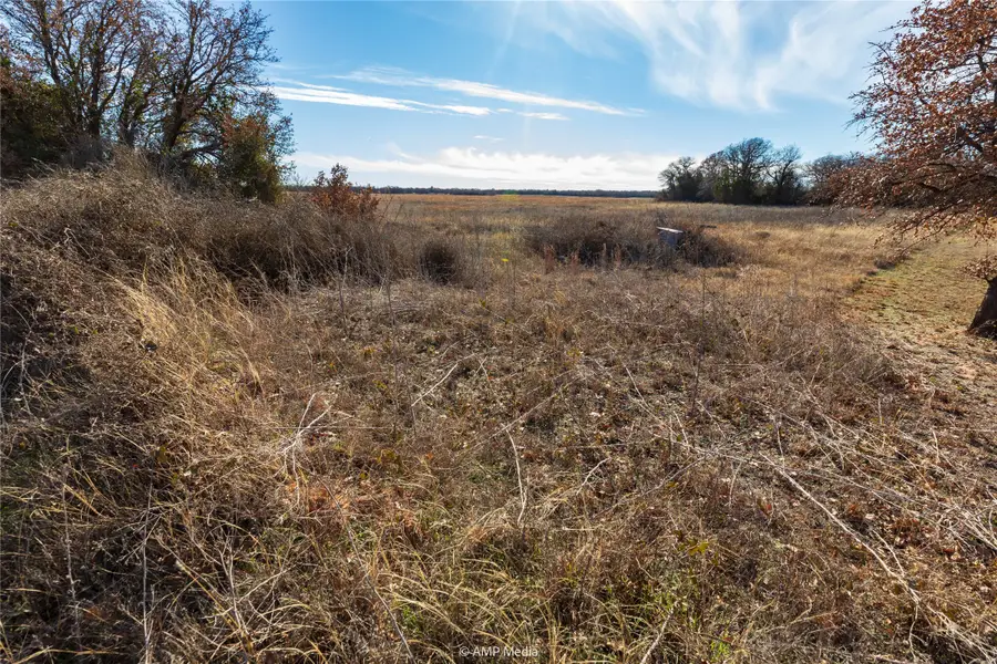 TBD-Lot 1 County Road 358, Anson, TX 79501 - Image #3