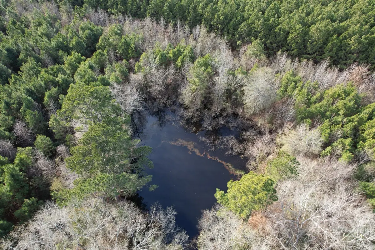 Tract D County Road 4037, Timpson, TX 75975 - #1