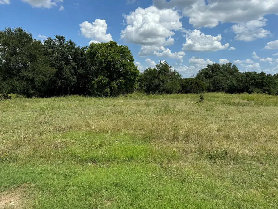 19078 White Bluff Drive, Whitney, TX 76692 - #2