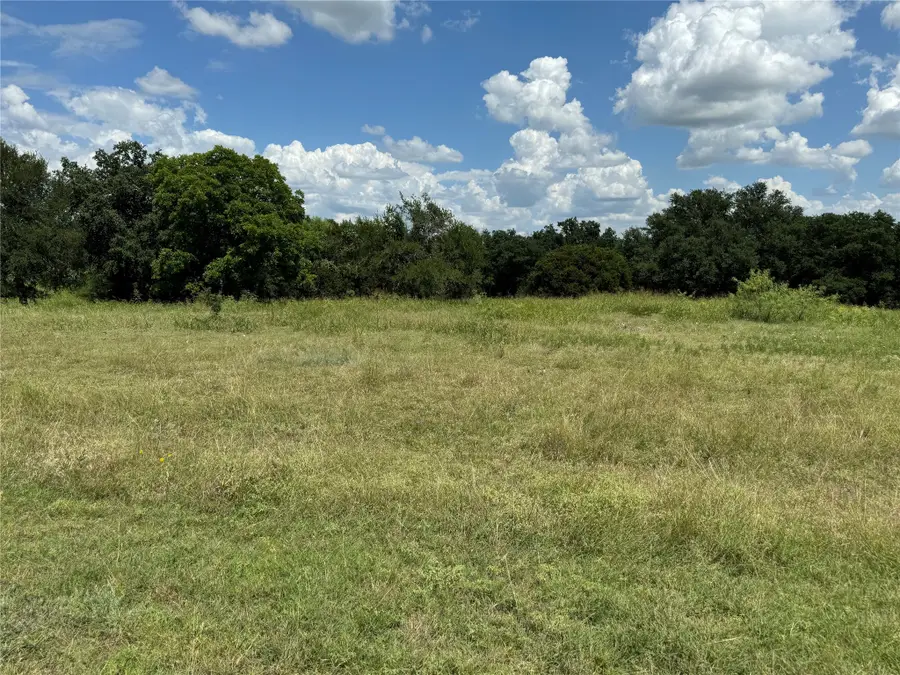 19078 White Bluff Drive, Whitney, TX 76692 - #3